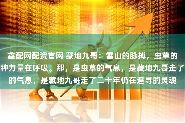 鑫配网配资官网 藏地九哥：雪山的脉搏，虫草的灵魂，天地间仿佛有一种力量在呼吸。那，是虫草的气息，是藏地九哥走了二十年仍在追寻的灵魂