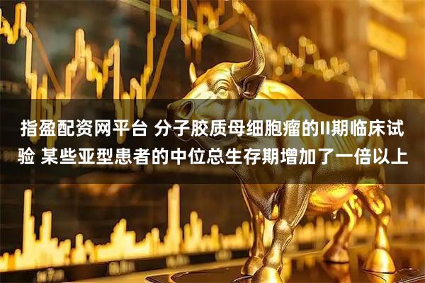 指盈配资网平台 分子胶质母细胞瘤的II期临床试验 某些亚型患者的中位总生存期增加了一倍以上