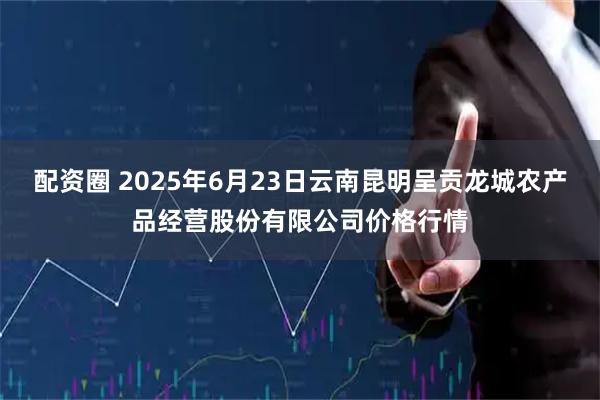 配资圈 2025年6月23日云南昆明呈贡龙城农产品经营股份有限公司价格行情